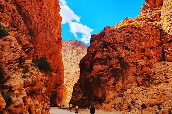 10 Days 9 Nights Luxury Moroccan Classic Tour - Guided Experiences