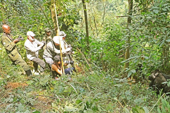 10 Days Affordable Gorilla Trekking Holiday - Meeting and Pickup