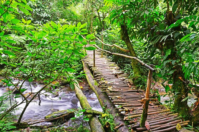 10 Days Affordable Gorilla Trekking Holiday - Accommodation and Meals