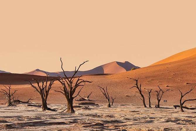 10 DAYS BEAUTY OF NAMIBIA | Private Guided Tour - Exploring the Namib Desert