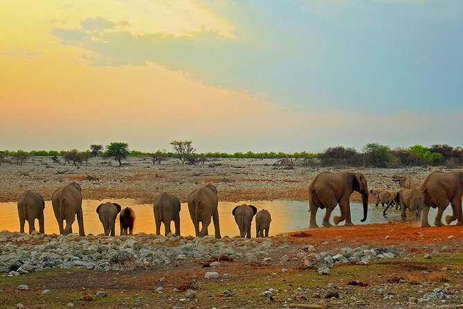 10 DAYS BEAUTY OF NAMIBIA | Private Guided Tour - Experiencing the Skeleton Coast