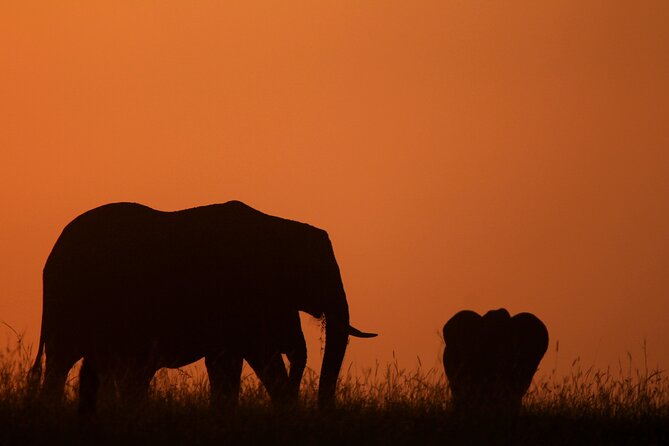 10 -Days Best of Kenya and Tanzania Classic Safari - Meeting and Pickup