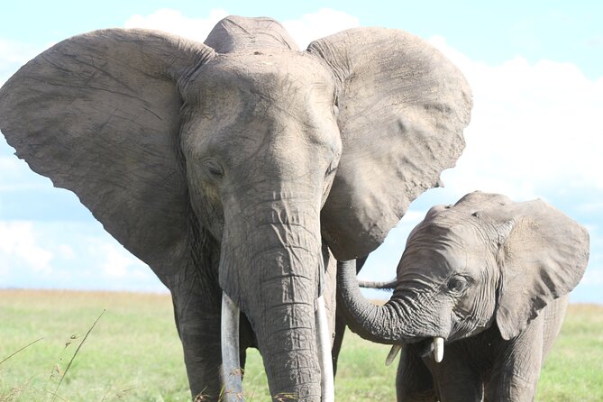 10 -Days Best of Kenya and Tanzania Classic Safari - Booking and Pricing