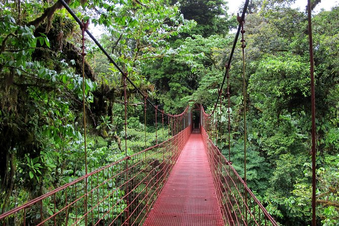 10 Days: Costa Rica Pure Nature - Discover Wildlife Wonders
