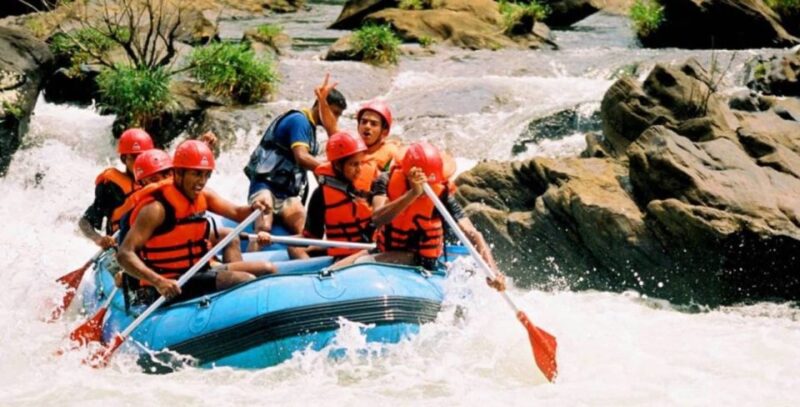 10-Days Discover Sri Lankas Natural Beauty and Wildlife - Key Points