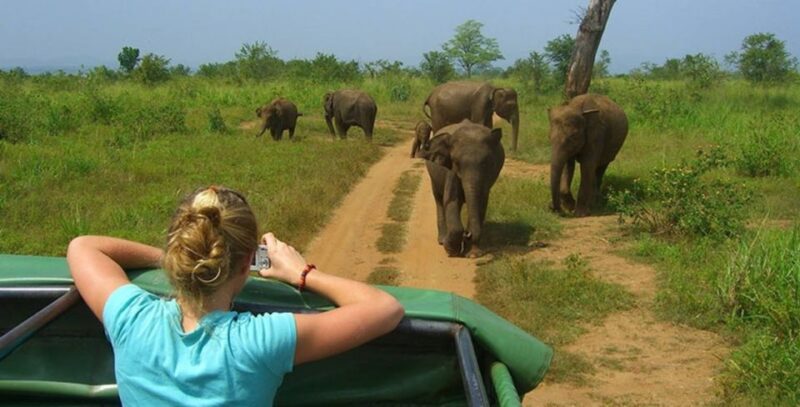 10-Days Discover Sri Lankas Natural Beauty and Wildlife - Cultural Immersion