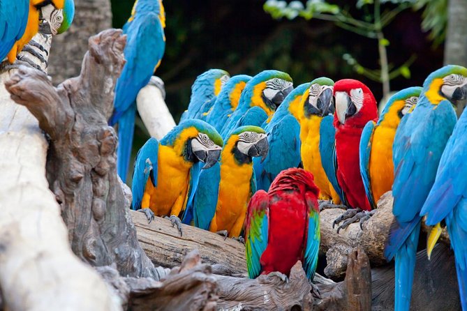 10 Days Essential Costa Rica - Package With Manuel Antonio National Park - Accommodation Options