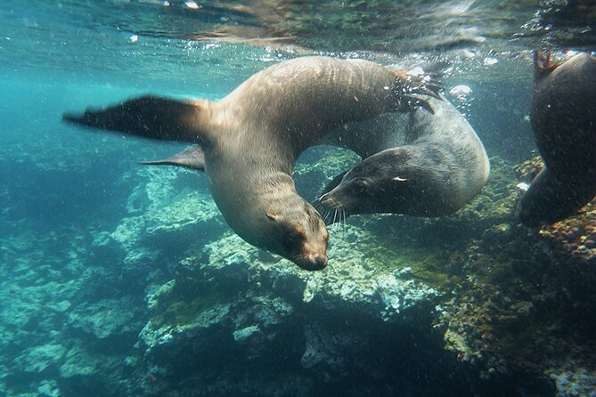 10 Days Galapagos Island Hopping - Discovering Unique Galapagos Wildlife