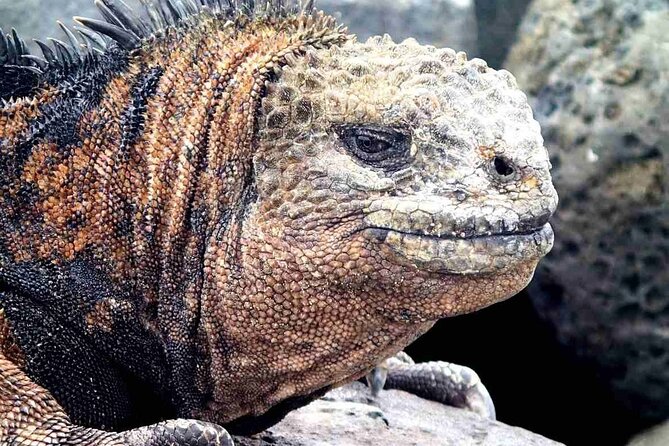 10 Days Galapagos Island Hopping - Hiking the Volcanic Landscapes