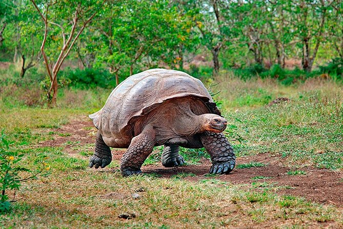 10 Days Galapagos Island Hopping - Itinerary and Logistics
