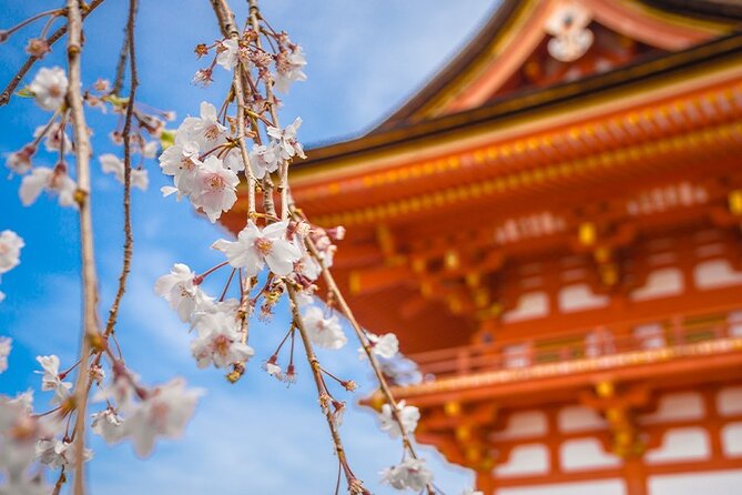 10 Days In-depth Discover Japan Deluxe Tour - Accommodations
