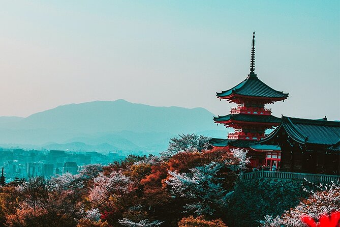10 Days In-depth Discover Japan Deluxe Tour - Tour Guides