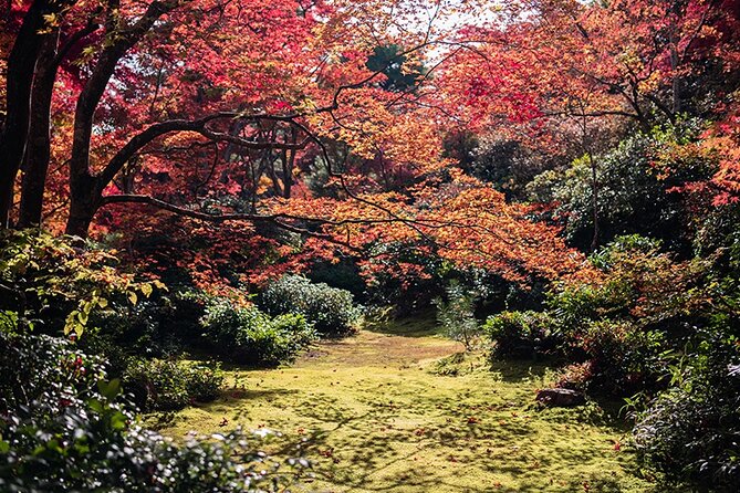 10 Days In-depth Discover Japan Deluxe Tour - Meals and Dining