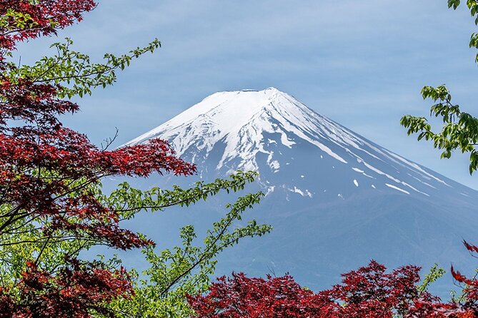 10 Days In-depth Discover Japan Deluxe Tour - Pickup and Start Time