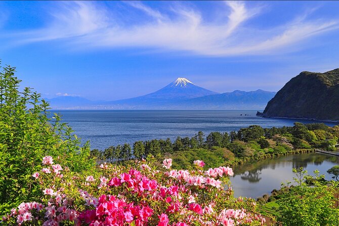 10 Days In-depth Discover Japan Deluxe Tour - Additional Travel Information