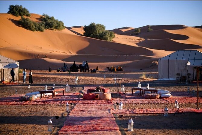 10-Days Luxury Tour to Imperial Cities of Morocco From Tangier - Customer Reviews