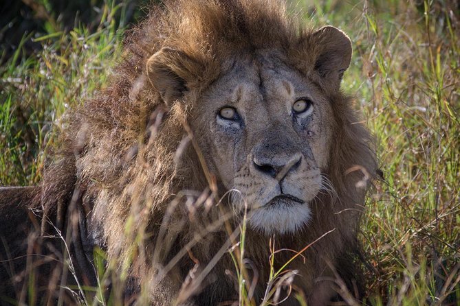 10 Days Mikumi Ruaha Selous Experience - Key Points