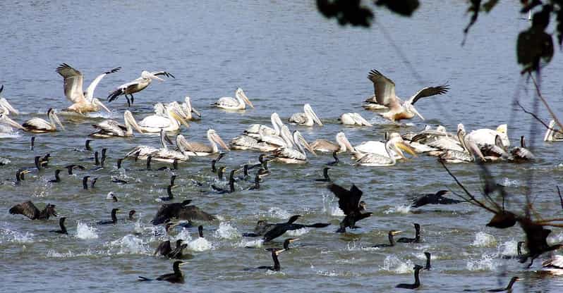 10 Days Nepal Wildlife and Bird Sanctuary Tour - Daily Itinerary