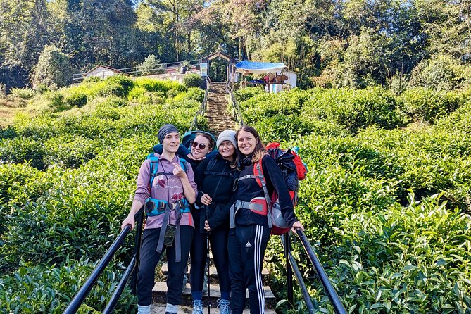 10 Days Private Guided Annapurna Basecamp Trek via Poon Hill - Reviews and Feedback