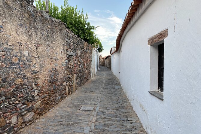 10 Days Private Tour in Portugal - Transportation Details