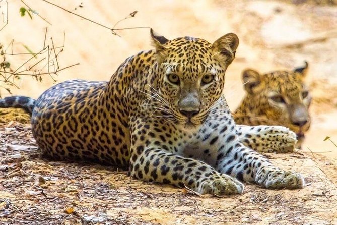 10-Days Private Tour Package. English Speaking Driver and Private Luxury Vehicle - Frequently Asked Questions
