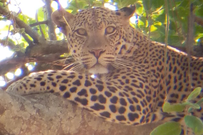 10 Days Safari to Nyerere NP, Ruaha NP, Udzungwa NP and Mikumi NP + Isimila Site - Visiting Mikumi National Park
