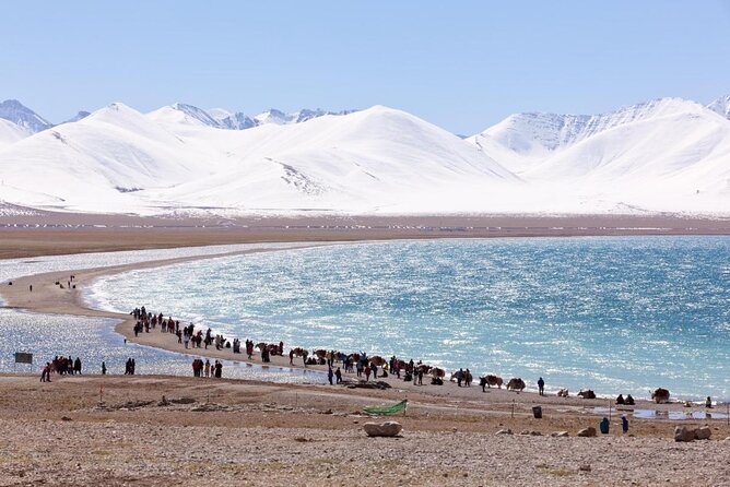 10 Days Tibet Everest Base Camp and Namtso Small Group Tour - Key Points