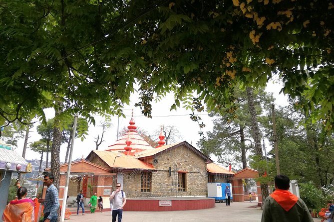10 Days Tour Package to Himachal Pradesh From Chandigarh/Amritsar - Inclusions and Exclusions