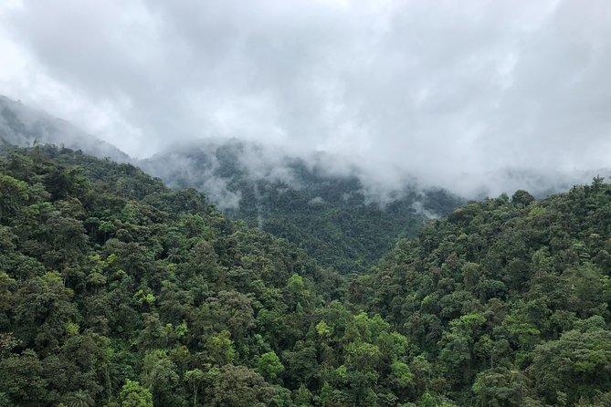 10 Days True Ecuador Experience - Savoring Local Cuisine and Chocolate