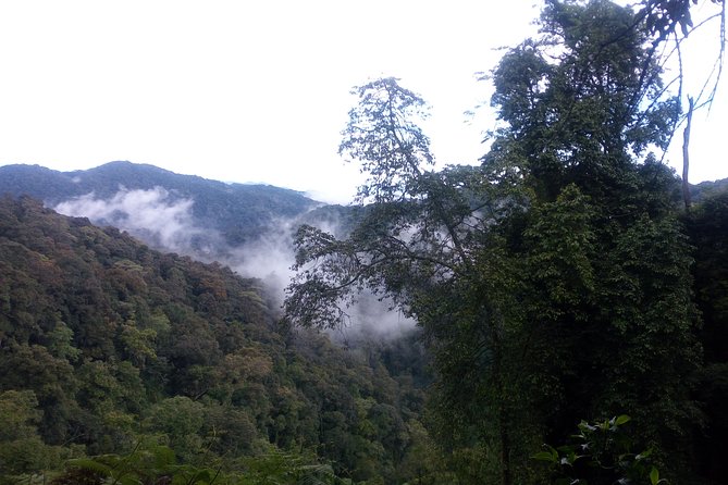 10 Days Uganda Gorilla & Chimpanzee Trekking Safari - Inclusions and Exclusions