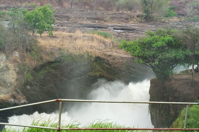 10 Days Uganda Gorilla & Chimpanzee Trekking Safari - Booking and Confirmation