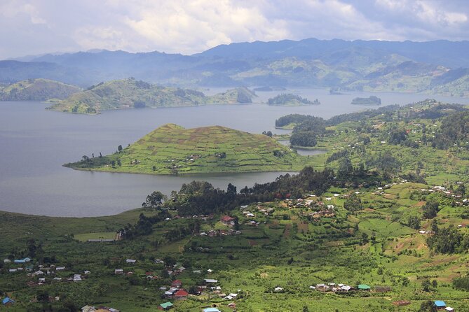 10-Days Uganda Gorillas and Chimpanzee Wildlife Discovery - Transportation and Guide