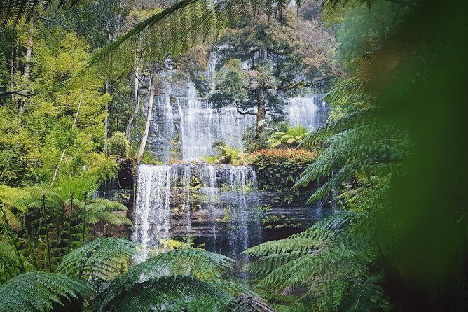 10 Days Ultimate Guided Tour of Tasmania - Comfort Tour - The Final Days: Port Arthur and the Tasman Peninsula