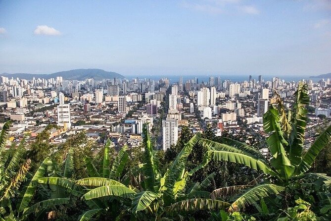 10-Hour Beach Tour Santos: Shared Full-Day With Tickets & Lunch - Buffet-style Lunch Details