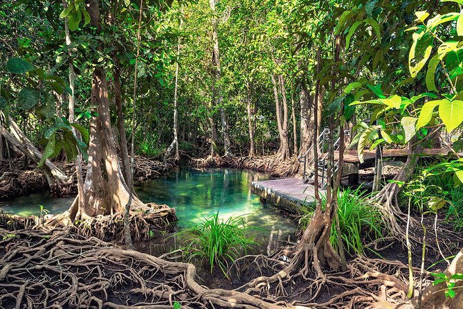 10-Hour Guided Tour of Samana and Bacardi Island Los Haitises - About Your Stay