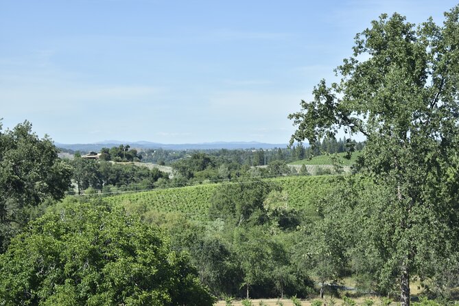 10-Hour Napa Valley Wine Tasting Tour From San Francisco 14 Pax - Customizable Itinerary