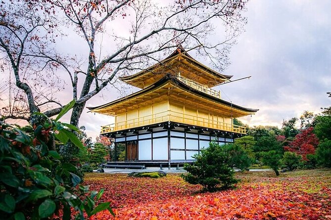 10 Hour Private Customizable Tour to Kyoto From Osaka - Inclusions