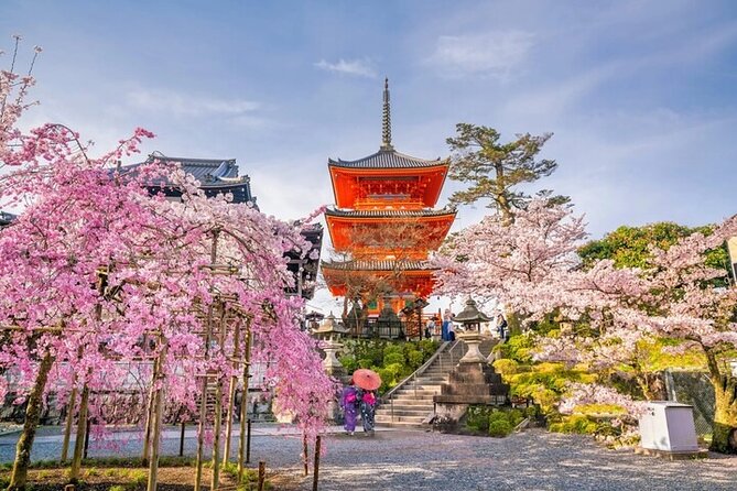 10 Hour Private Customizable Tour to Kyoto From Osaka - Pickup and Meeting Details
