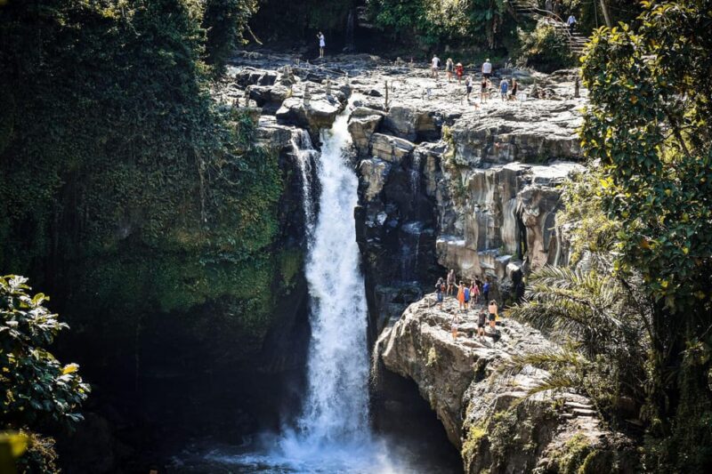 10 Hour Ubud Area Full-Day Private Tour With Driver - Key Points