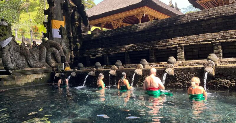 10 Hour Ubud Area Full-Day Private Tour With Driver - Tour Experience