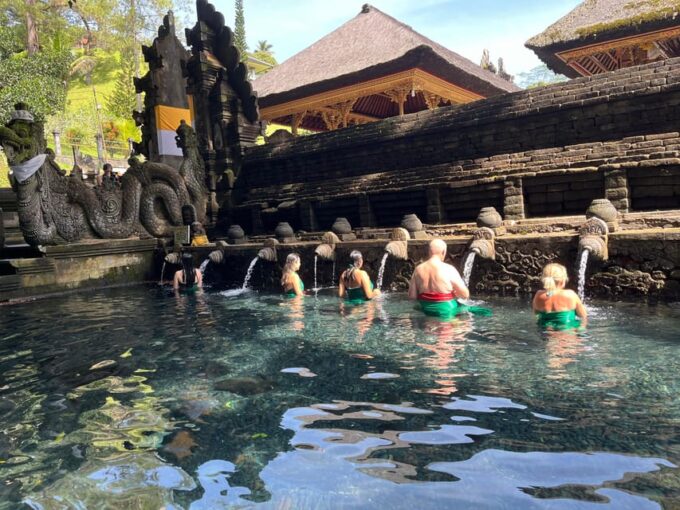 10 Hour Ubud Area Full-Day Private Tour With Driver - Luwak Coffee Plantation