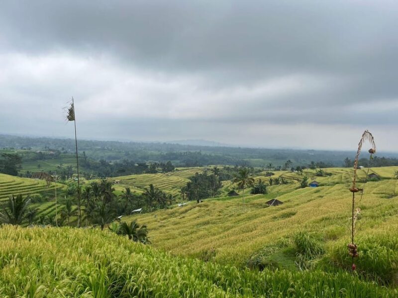 10 Hour West Bali Tour Taman Ayun, Ulun Danu & Tanah Lot - Frequently Asked Questions