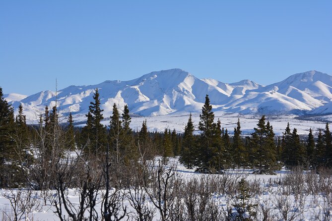 10 Hours Denali Winter Drive in Alaska - Inclusions and Pricing
