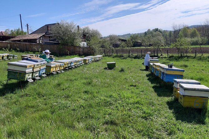 10 Hours Private Apiary Tour in Romania - From Bucharest - Pickup and Transportation Options