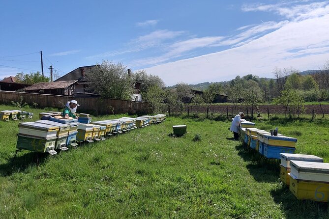 10 Hours Private Apiary Tour in Romania - From Bucharest - Scenic Countryside Experience