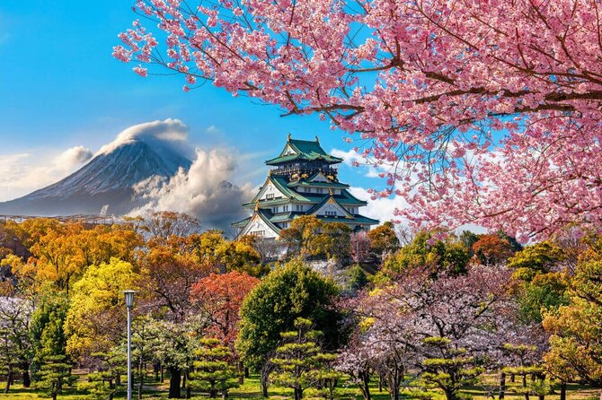 10 Hours Private City Tour in Osaka - Chartered Tour - Booking and Availability