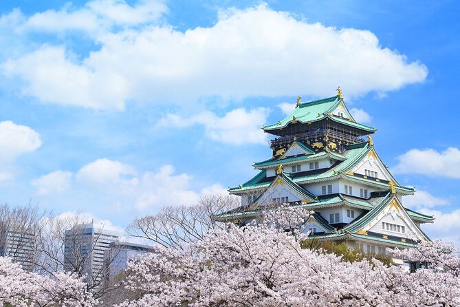 10 Hours Private City Tour in Osaka - Chartered Tour - Customizing Your Tour Experience
