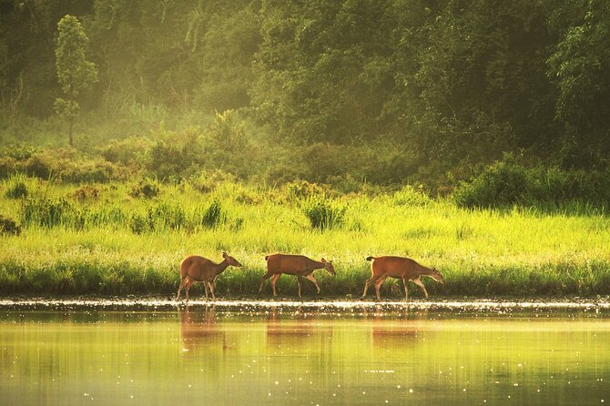 10 Hours Private Hiking in Khao Yai National Park From Bangkok - Good To Know