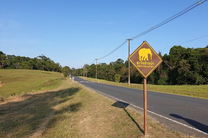 10 Hours Private Hiking in Khao Yai National Park From Bangkok - Health and Safety Requirements