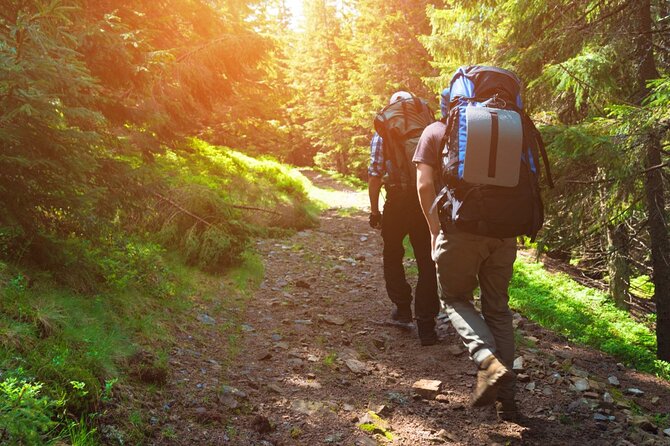 10 Hours Private Hiking in Khao Yai National Park From Bangkok - Sum Up